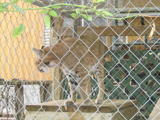 usa2004 080.jpg