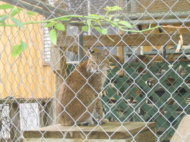 usa2004 081.jpg