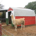 usa2004 085.jpg