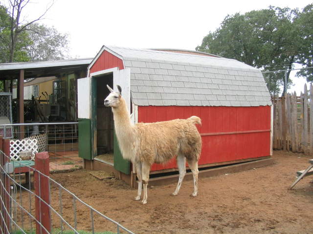 usa2004 085.jpg