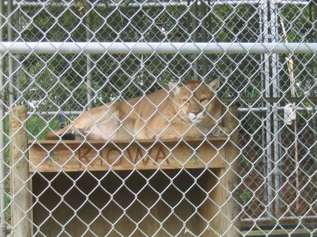 usa2004 086.jpg