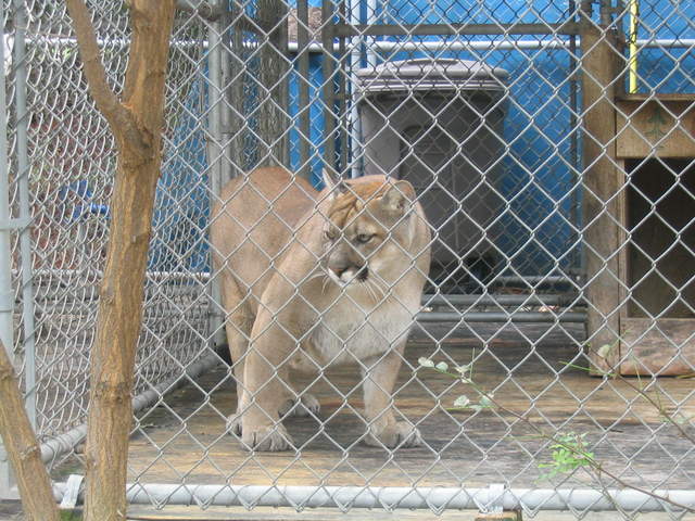 usa2004 087.jpg