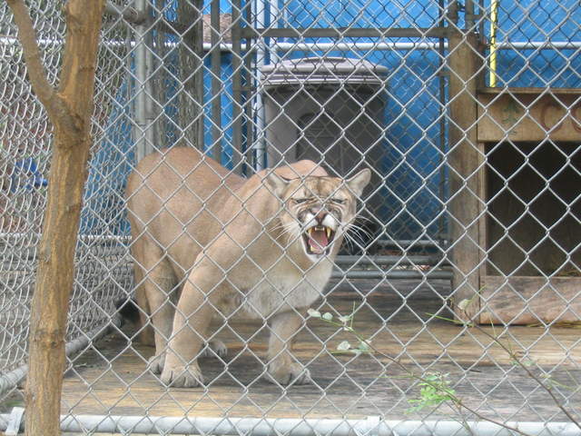 usa2004 088.jpg