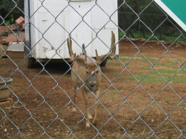 usa2004 091.jpg