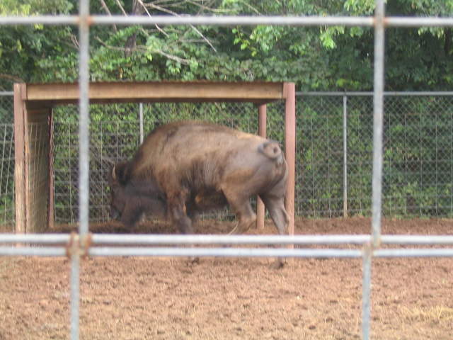 usa2004 094.jpg