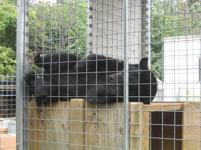 usa2004 096.jpg