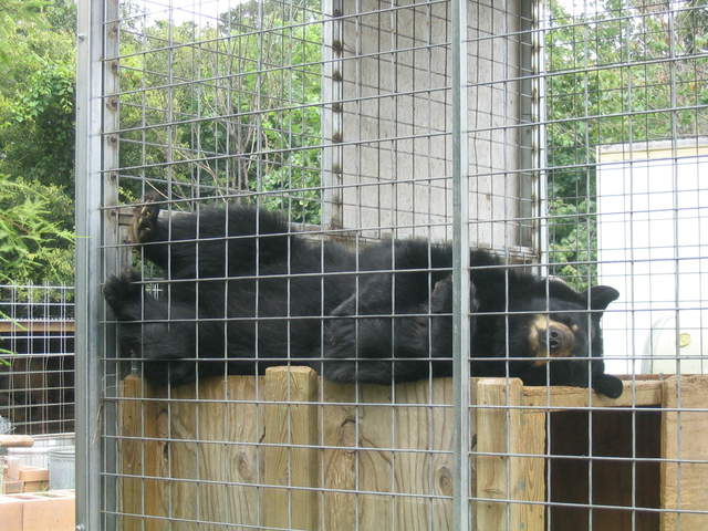 usa2004 097.jpg