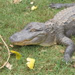 usa2004 103.jpg