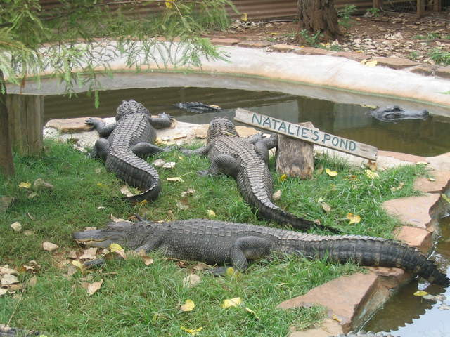 usa2004 105.jpg