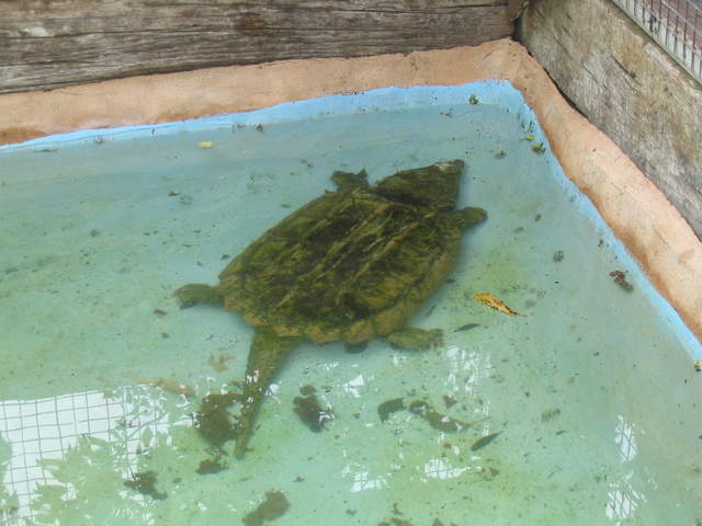 usa2004 107.jpg