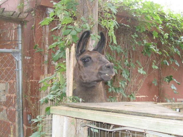 usa2004 109.jpg