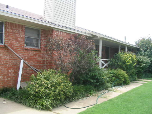 usa2004 120.jpg