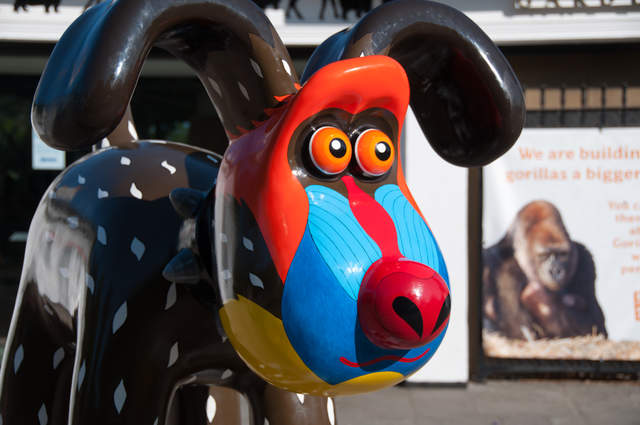 A-Mandrill's-Best-Friend.jpg