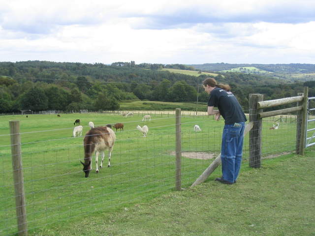 llamafarm 014.jpg