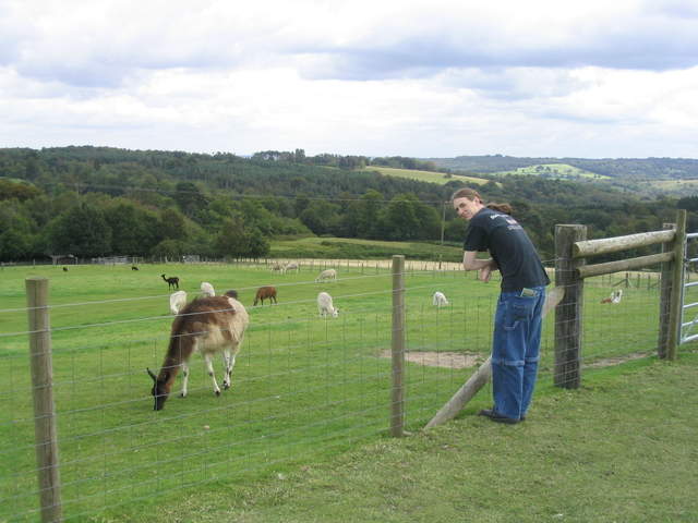 llamafarm 015.jpg