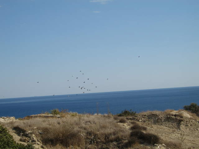 Amathus, path to The Acropolis