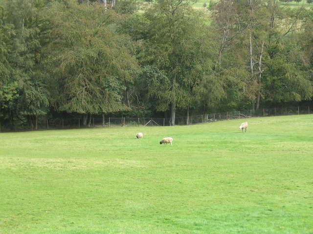 llamafarm 026.jpg