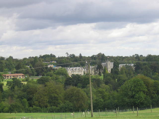 llamafarm 030.jpg