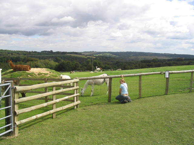 llamafarm 032.jpg