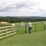 llamafarm 033.jpg
