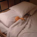 After a seven hour hike through the rainforest, Zippy passes out once he gets back to his suite.