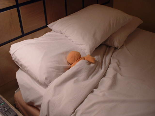 After a seven hour hike through the rainforest, Zippy passes out once he gets back to his suite.