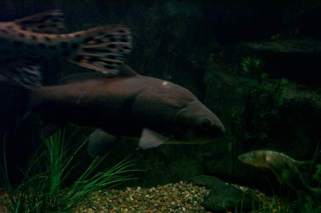 DCP_3355.JPG