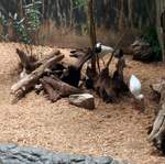 DCP_3362.JPG