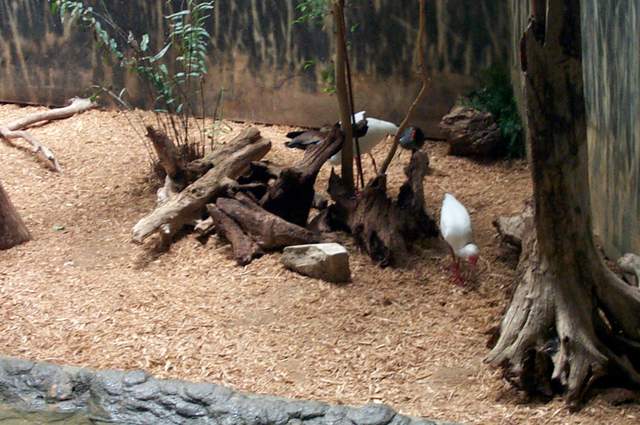 DCP_3362.JPG