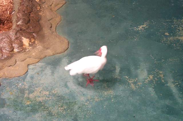 DCP_3363.JPG