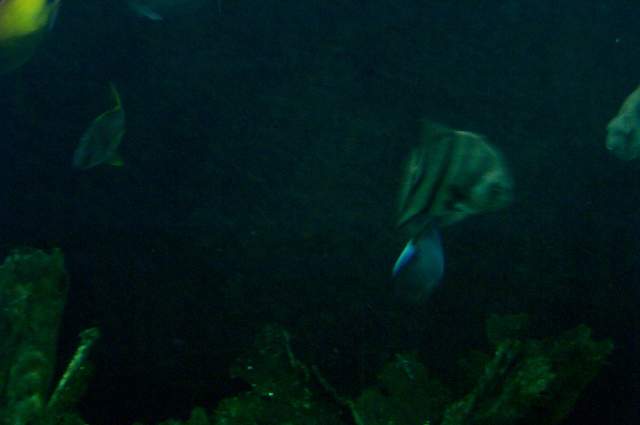 DCP_3365.JPG