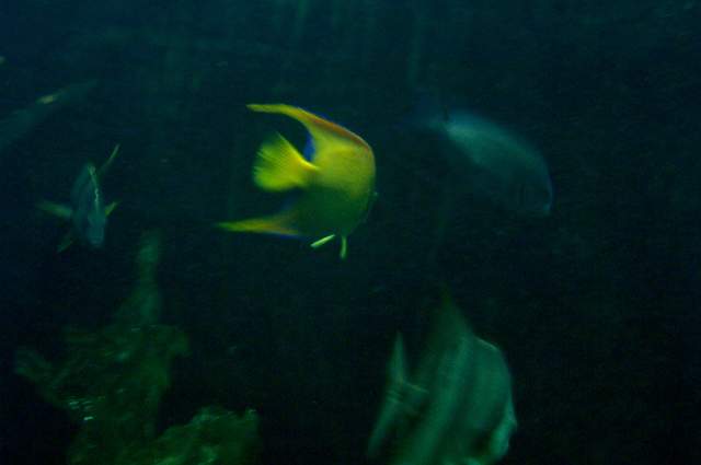 DCP_3366.JPG
