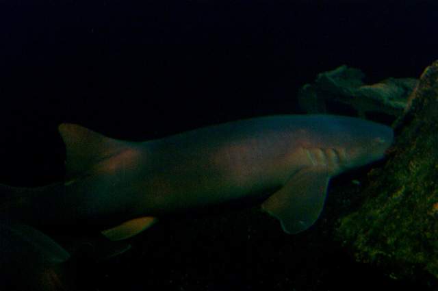 DCP_3367.JPG
