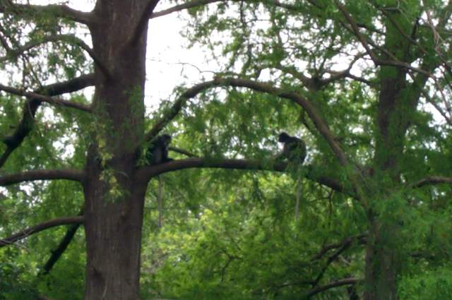 DCP_3370.JPG