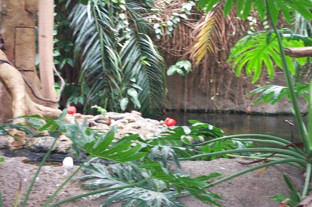 DCP_3399.JPG