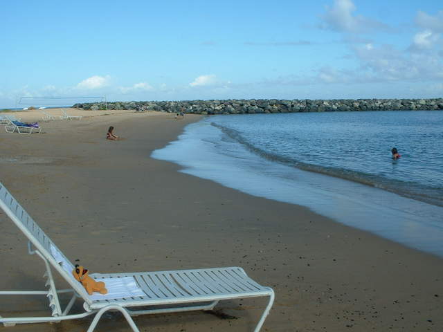 The next day Zippy takes in some sun on the beach of San Juan at his hotel