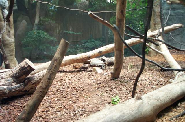 DCP_3406.JPG