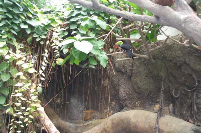 DCP_3411.JPG