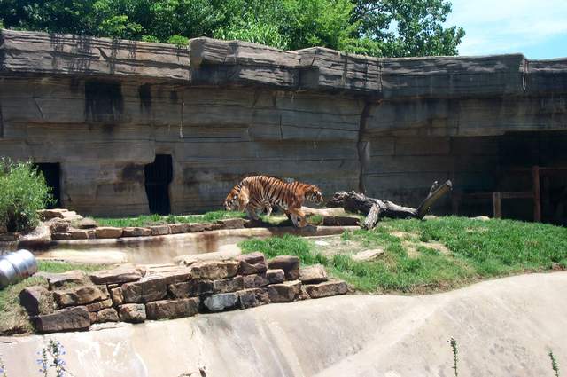 DCP_3413.JPG