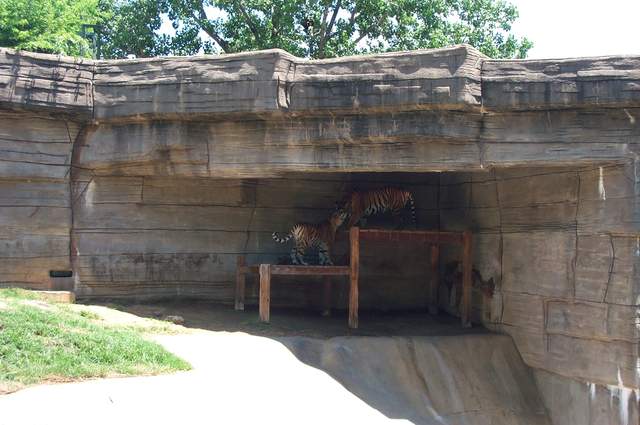 DCP_3416.JPG