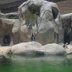 DCP_3418.JPG