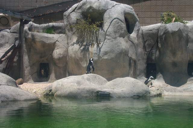 DCP_3418.JPG
