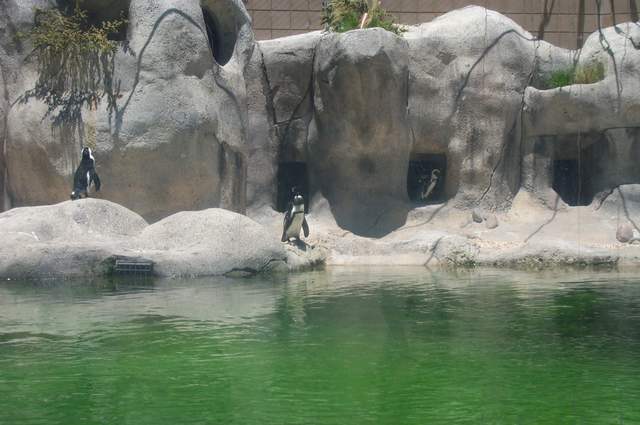 DCP_3419.JPG