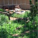DCP_3420.JPG