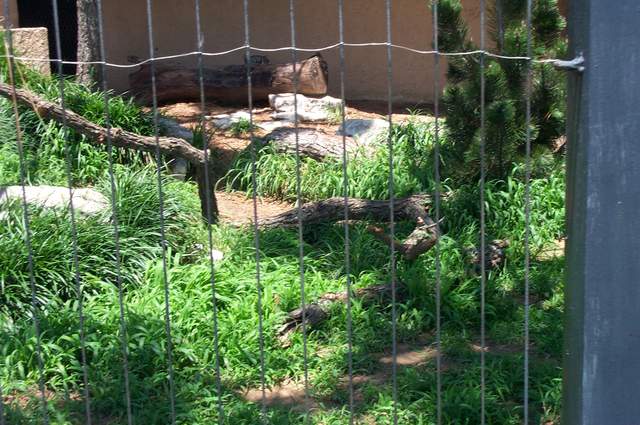 DCP_3420.JPG