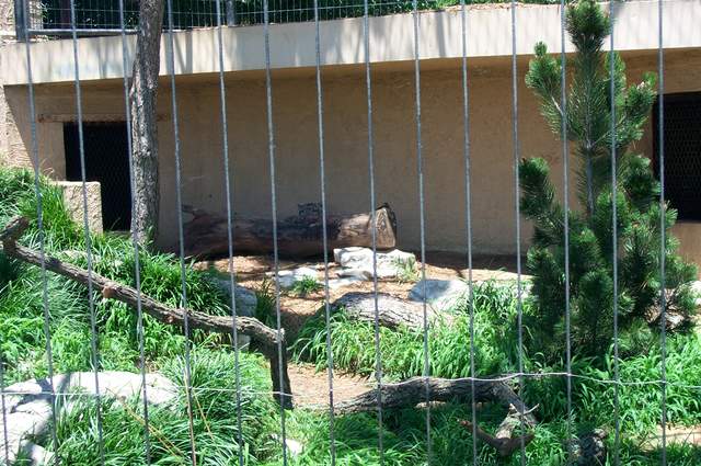 DCP_3421.JPG