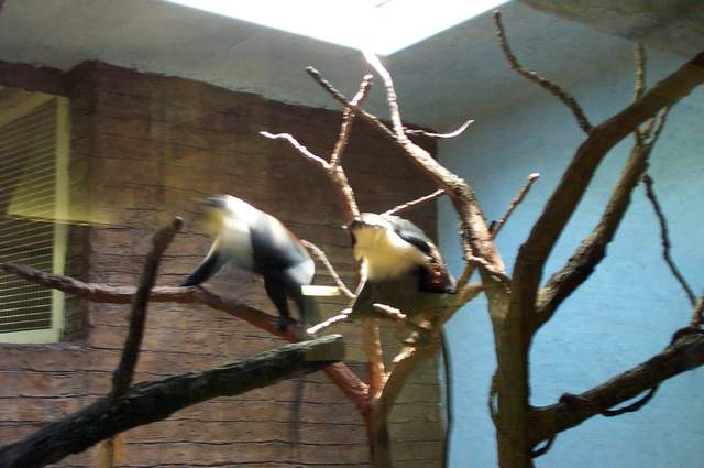 DCP_3431.JPG