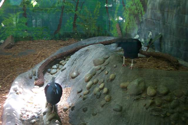 DCP_3437.JPG