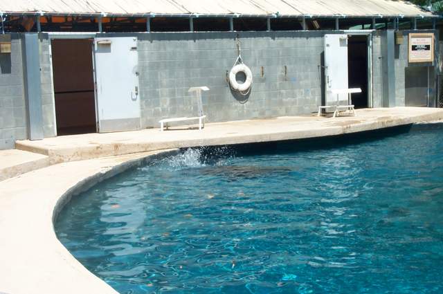 DCP_3443.JPG