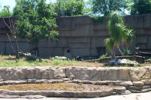 DCP_3451.JPG